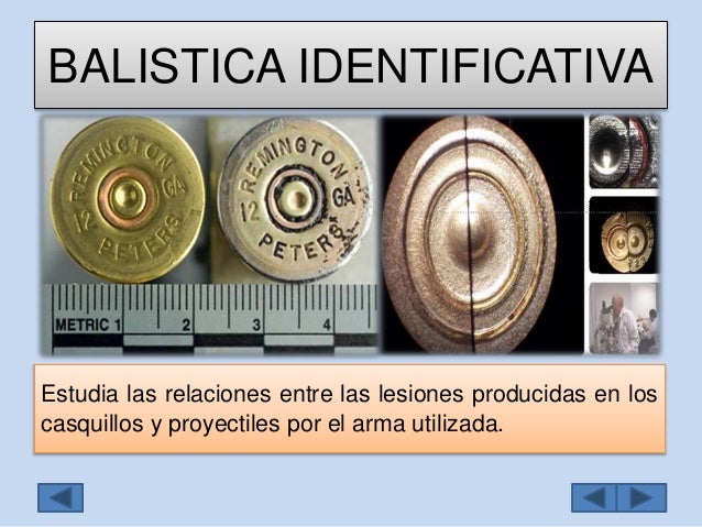 balistica identificativa